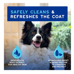 Douxo Spa Ultra-Safe Leave-on Mousse for Dogs 150mL