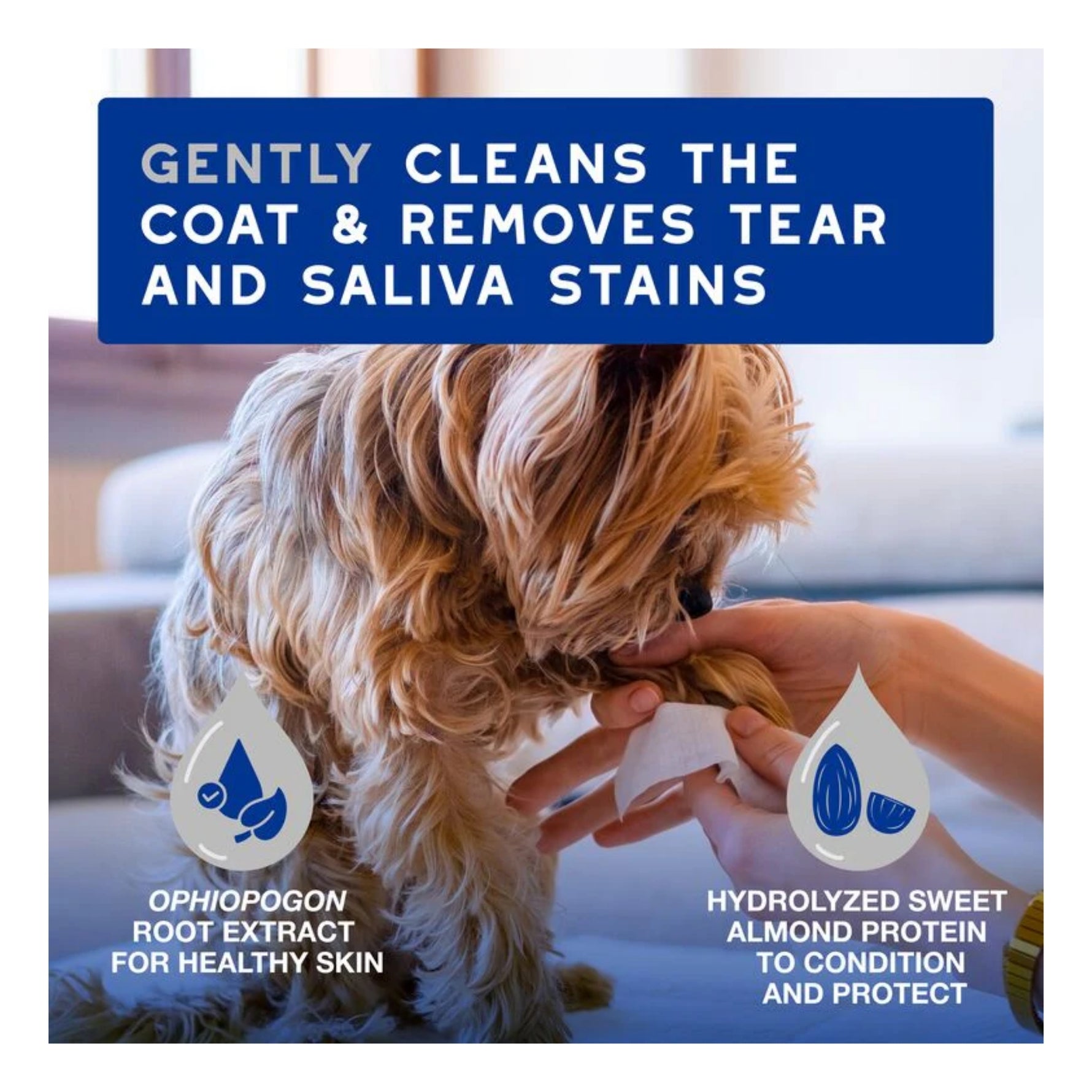 Douxo Spa Ultra-Safe Multipurpose Wipes for pets - 100 Pack