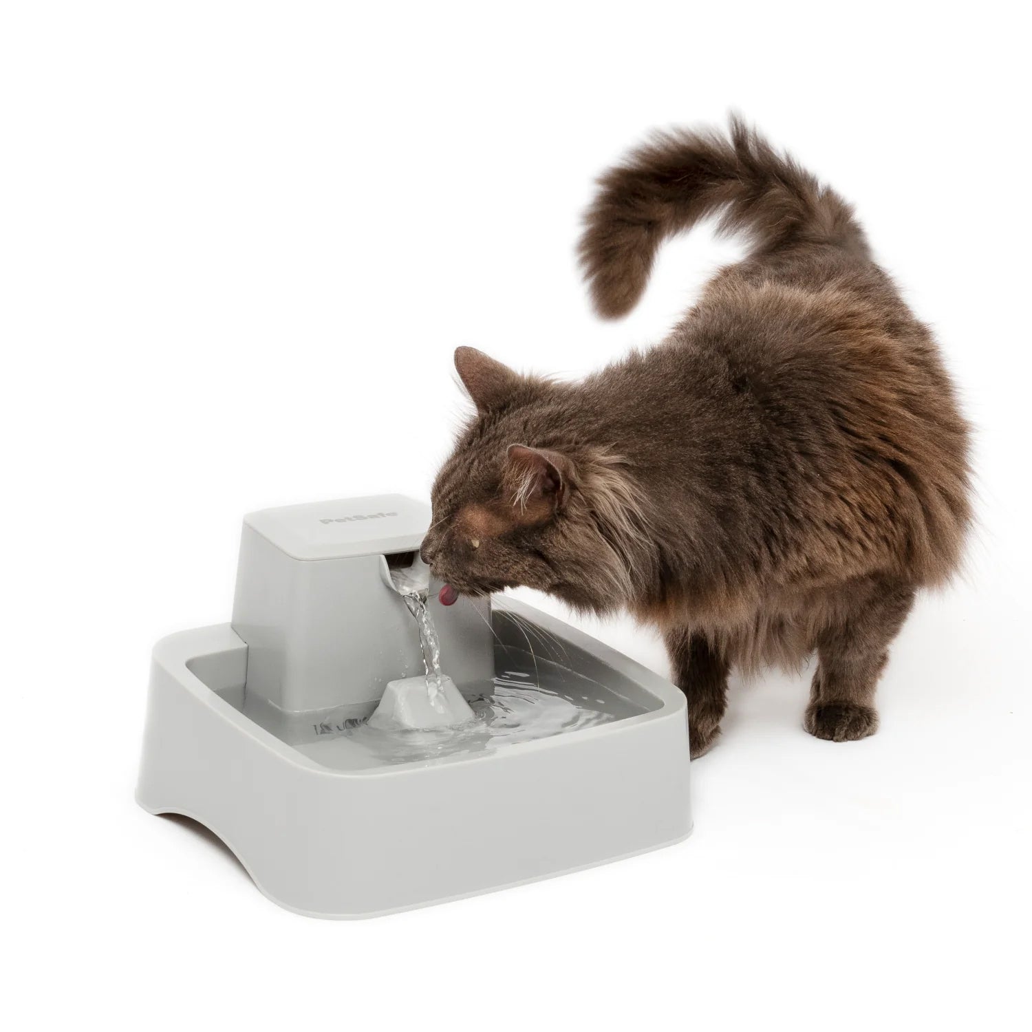 Pet Bowls - Water Fountains
