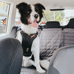 EzyDog Drive Car Safety Harness for Dogs
