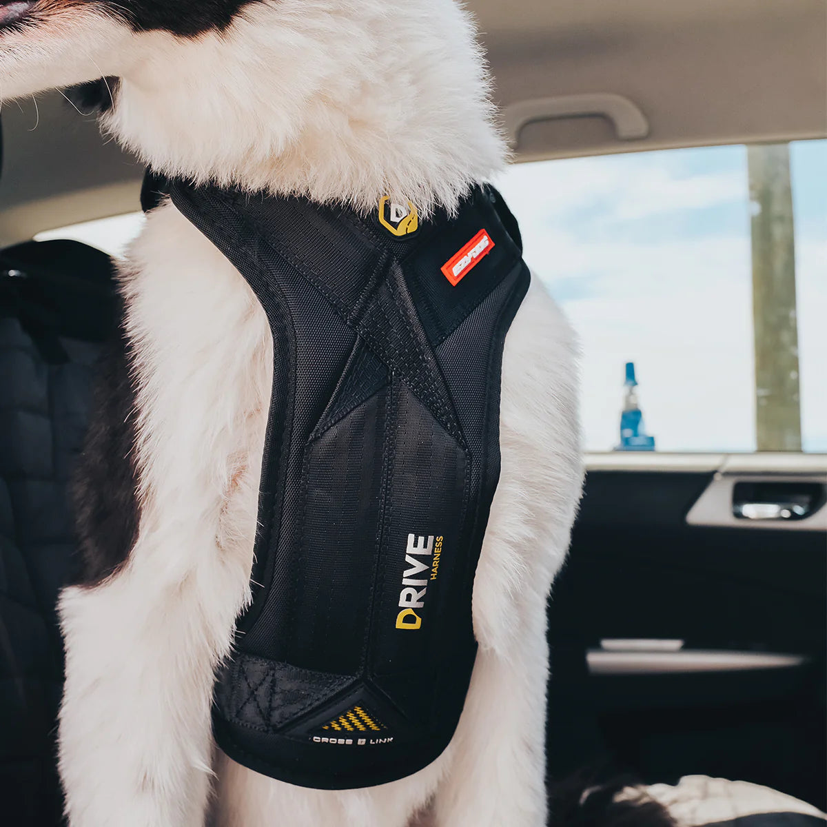 Ezydog drive dog car harness online
