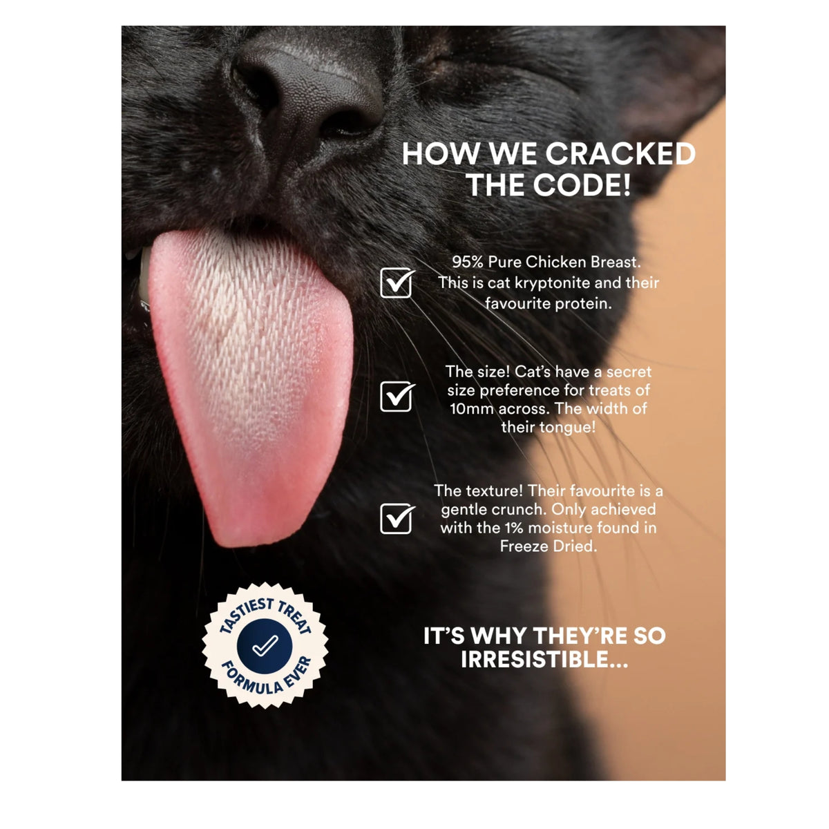 Drool by Dr Chris Brown Teeth + Breath Freeze Dried Cat Treats 50g