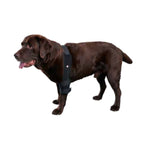 Kruuse Rehab Pro Elbow Protector