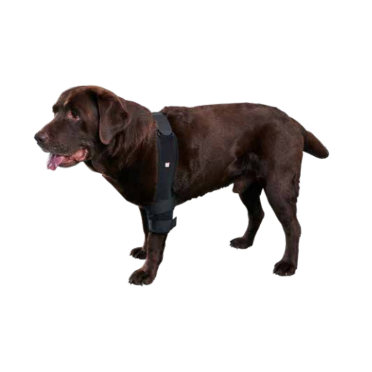 Kruuse Rehab Pro Elbow Protector