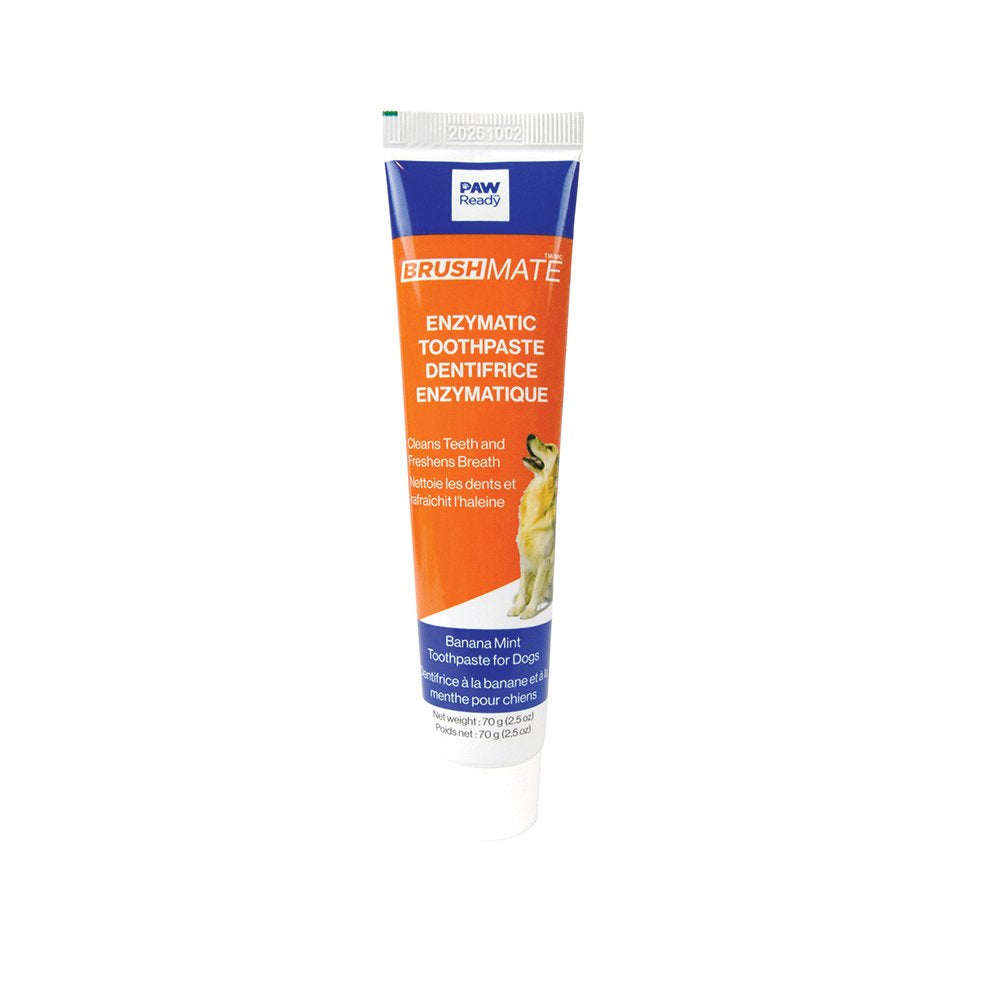 Paw Ready Oral Care Brushing Dental Kit - Toothbrush & Toothpaste