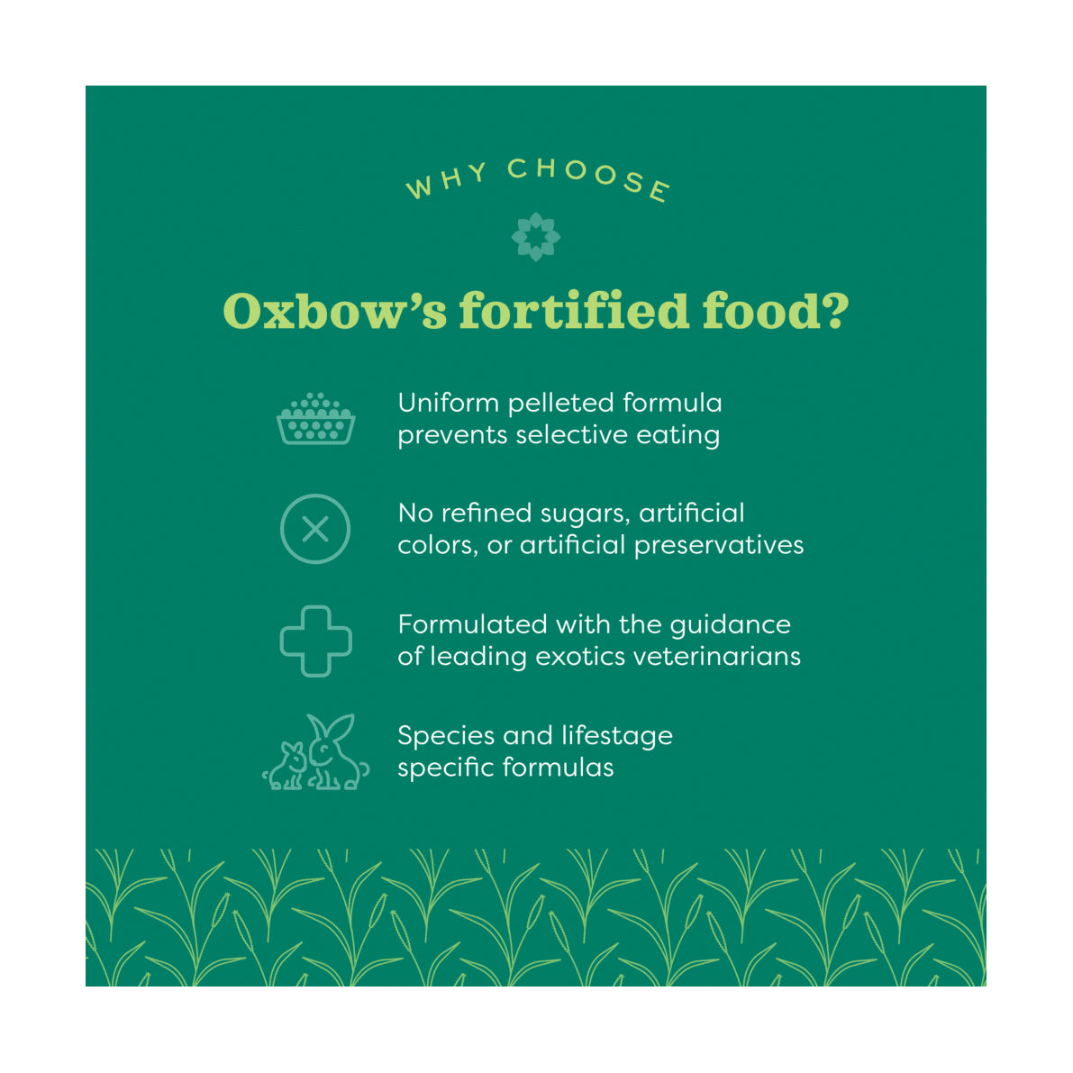 Oxbow Essentials Adult Guinea Pig Food 2.25kg