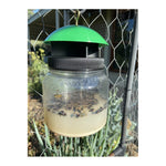 EnviroSafe European Wasp Trap