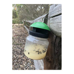 EnviroSafe European Wasp Trap