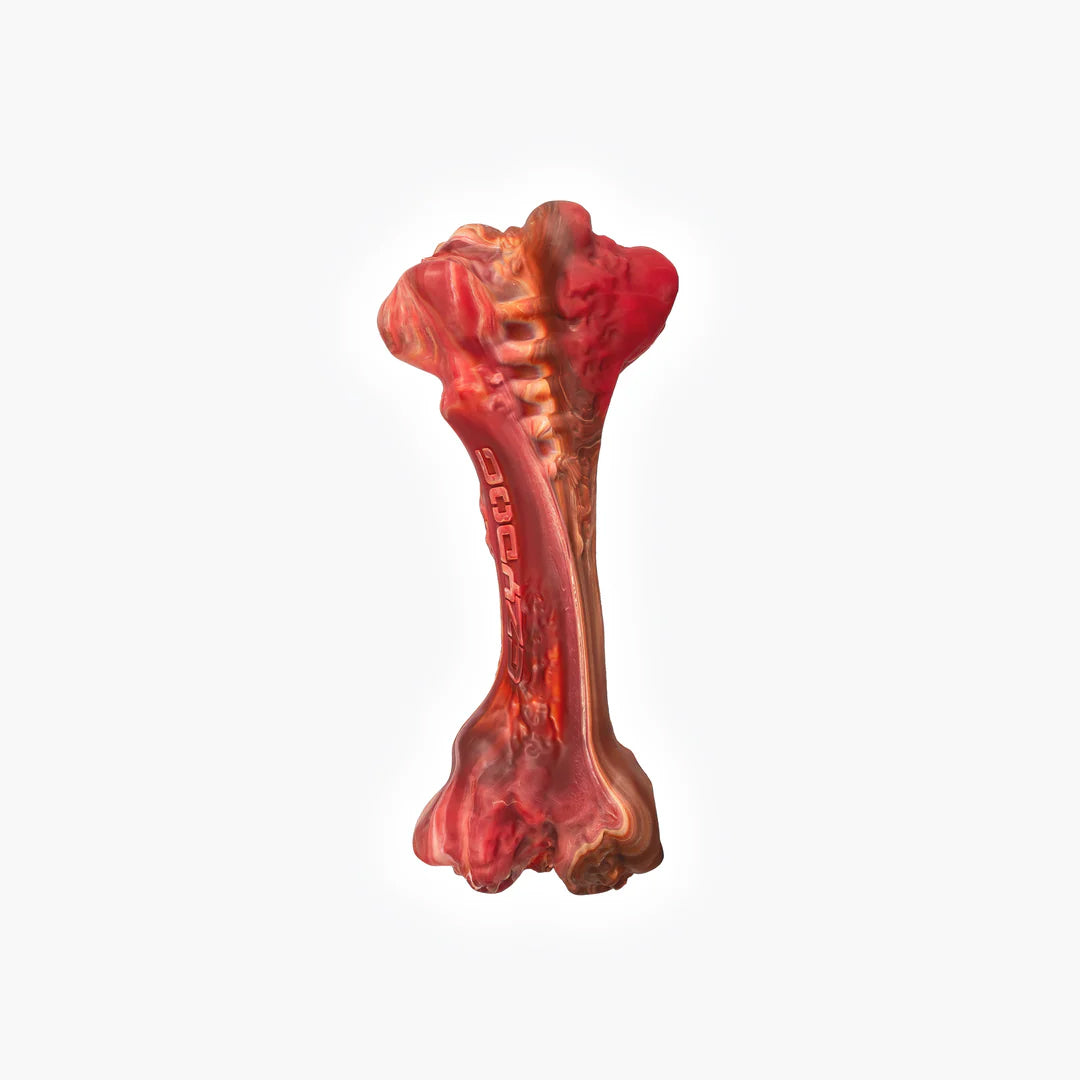 EzyDog EzyBone Chew Toy
