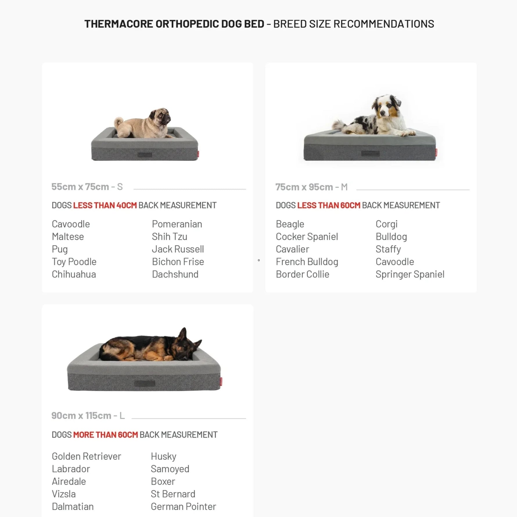 EzyDog Thermacore Orthopaedic 2 in 1 Dog Bed