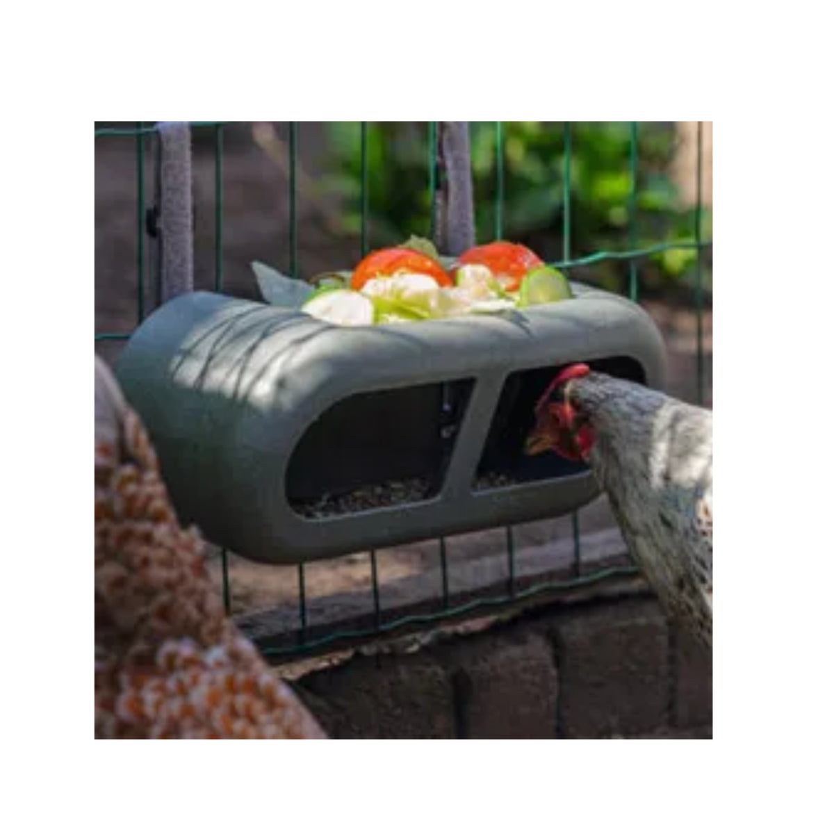 Bainbridge Chicken Playground – 100% Recycled Feeder with Attachments