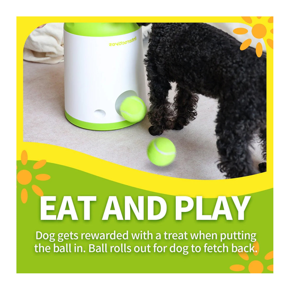 All for Paws Interactive Fetch-N-Treat Dog Toy