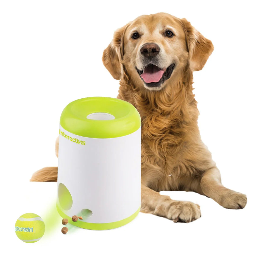 All for Paws Interactive Fetch-N-Treat Dog Toy