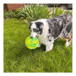 KONG Flexball Sport Ball