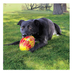 KONG FlexBall Sport Football - Medium