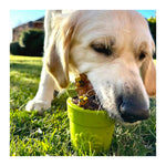 SodaPup Flower Pot Treat Dispenser