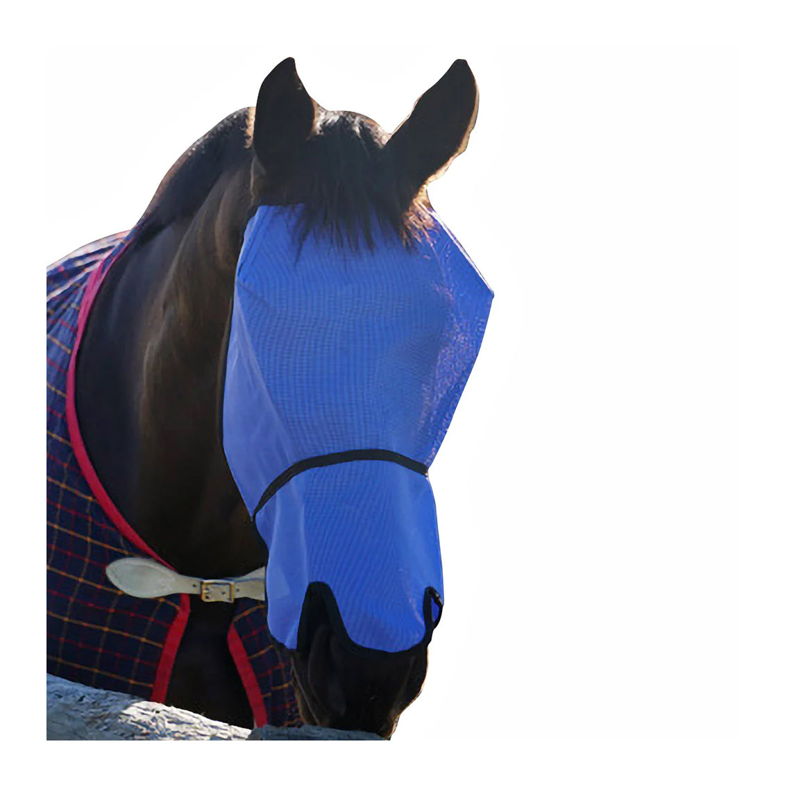 Flyveils by Design Extended Nose Cover Flyveil