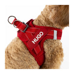 EzyDog Formfit Mesh Harness for Small Dogs