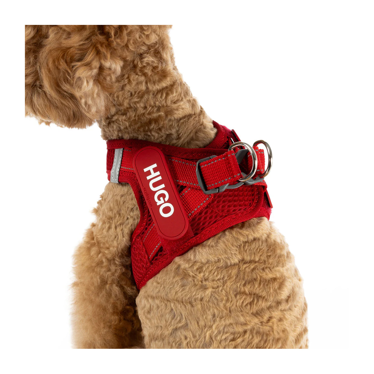 EzyDog Formfit Mesh Harness for Small Dogs