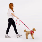 EzyDog Formfit Mesh Harness for Small Dogs