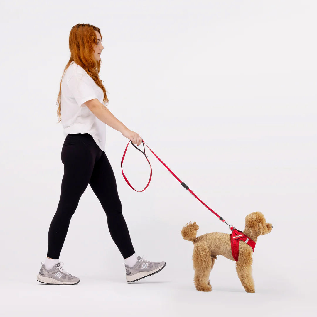 EzyDog Formfit Mesh Harness for Small Dogs