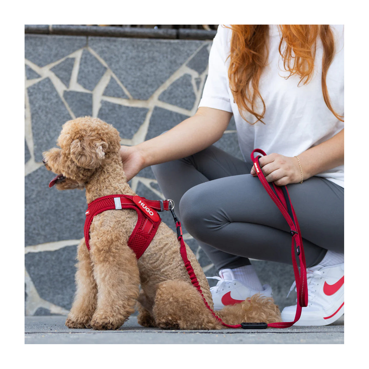 EzyDog Formfit Mesh Harness for Small Dogs