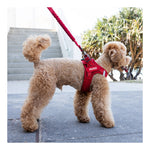 EzyDog Formfit Mesh Harness for Small Dogs