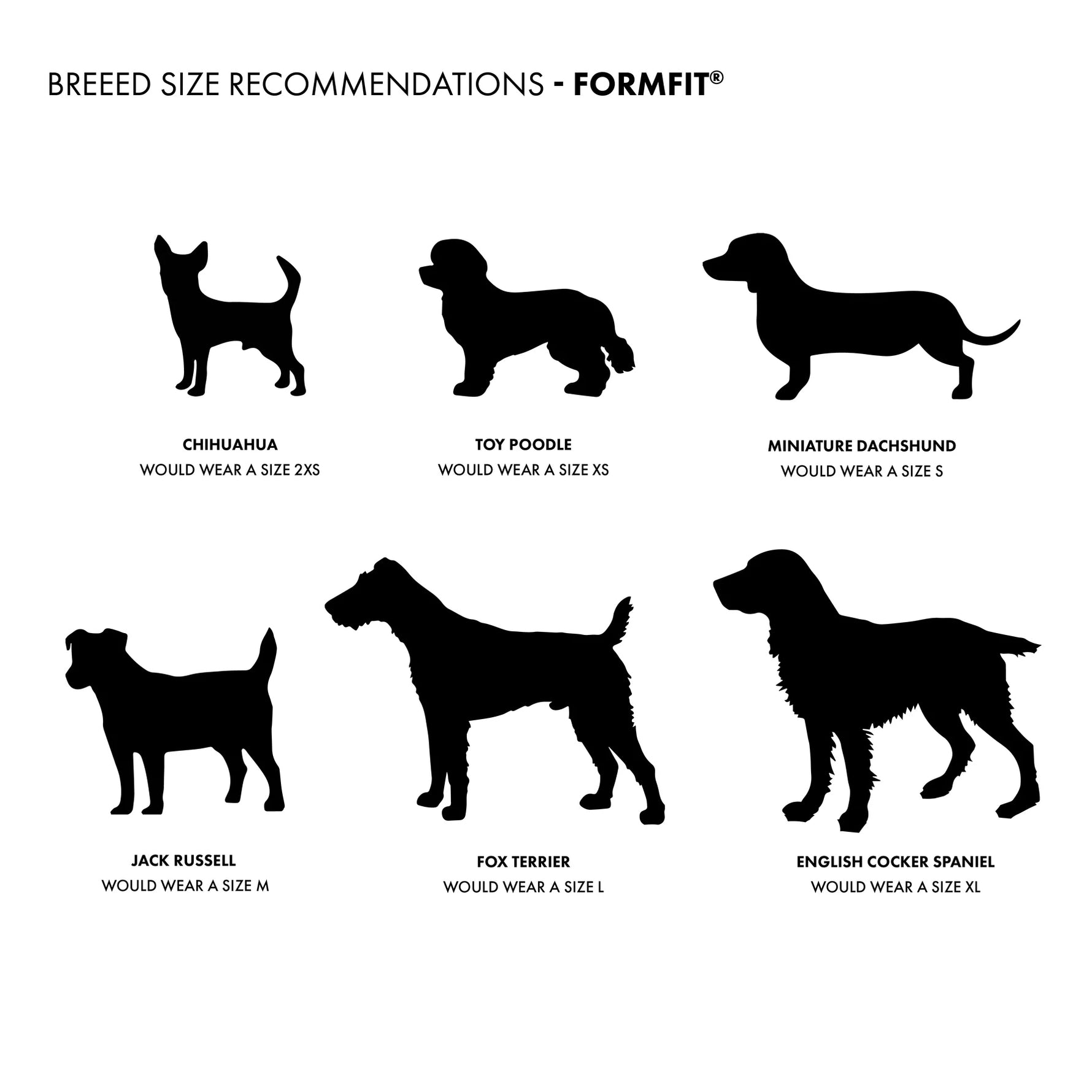 EzyDog Formfit Mesh Harness for Small Dogs