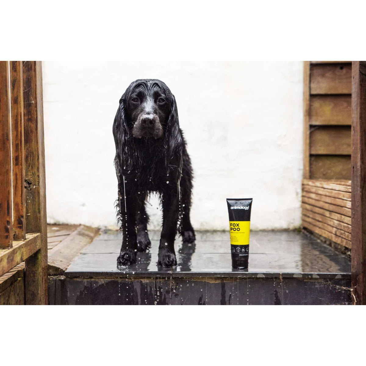 Animology Fox Poo Dog Shampoo 250mL