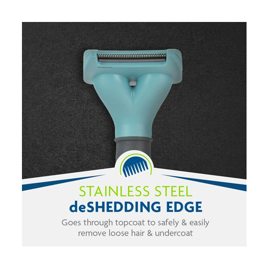 Weimaraner Deshedding Tool For Short Coat photo