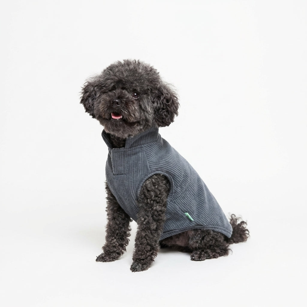 FuzzYard Life Corduroy Jacket - Slate Grey
