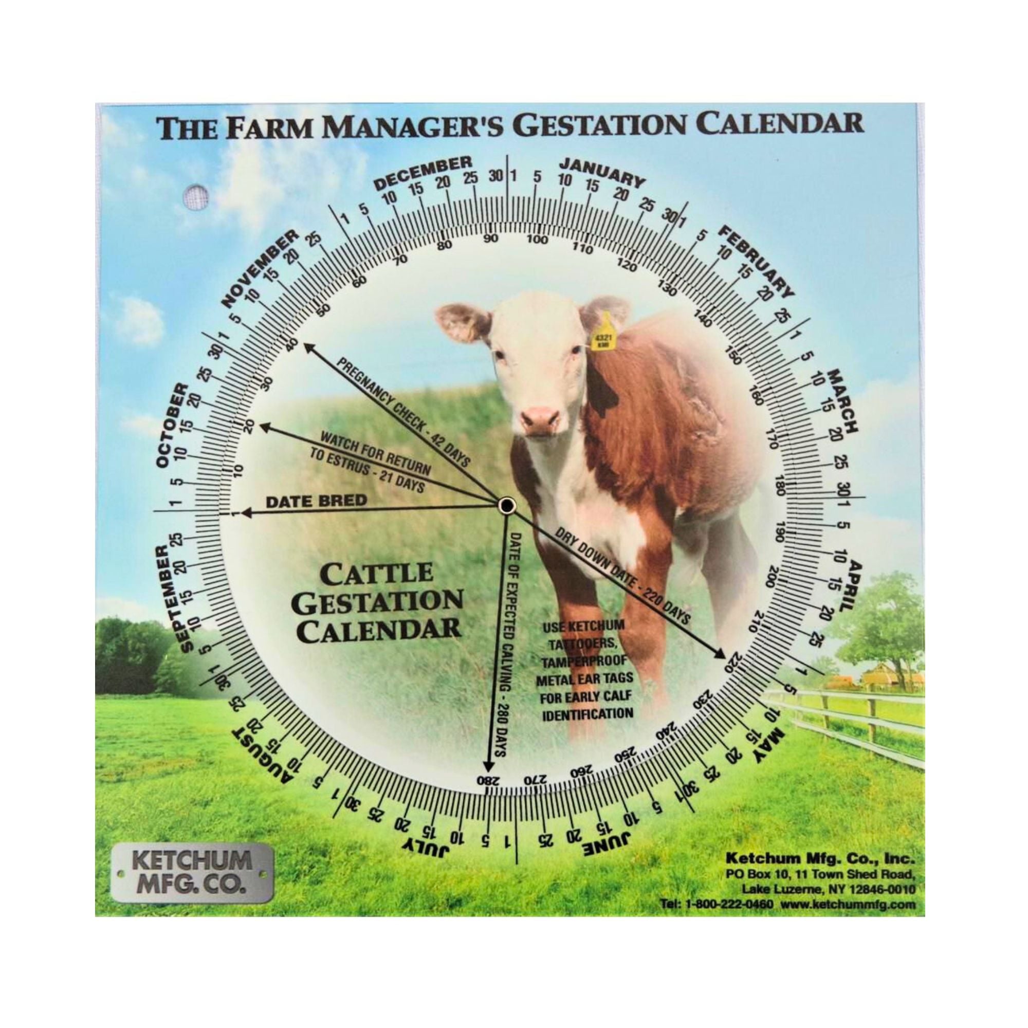 Farm Animal Gestation Calendar