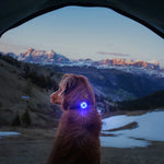 EzyDog Go-2 Dog Light