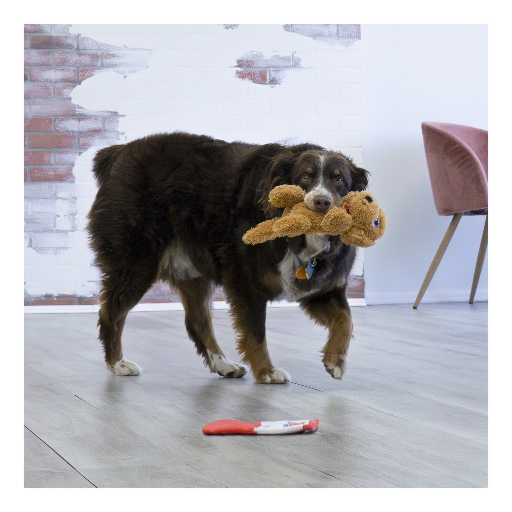 KONG Comfort Pups - Goldie