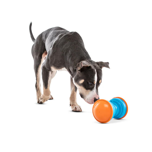 Image alt