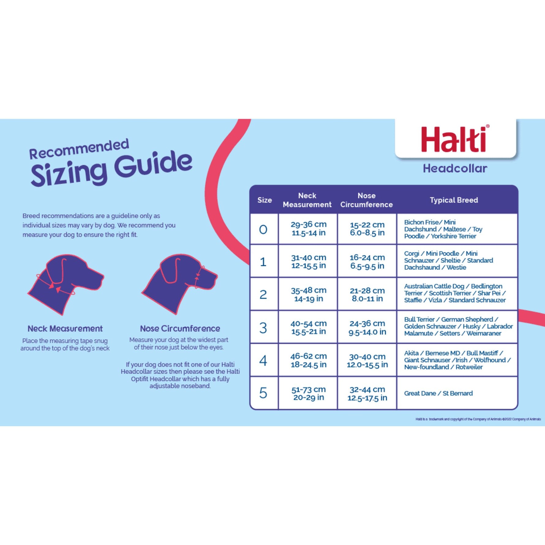 Halti Headcollar