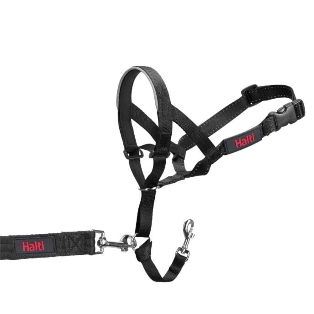 Halti Headcollar