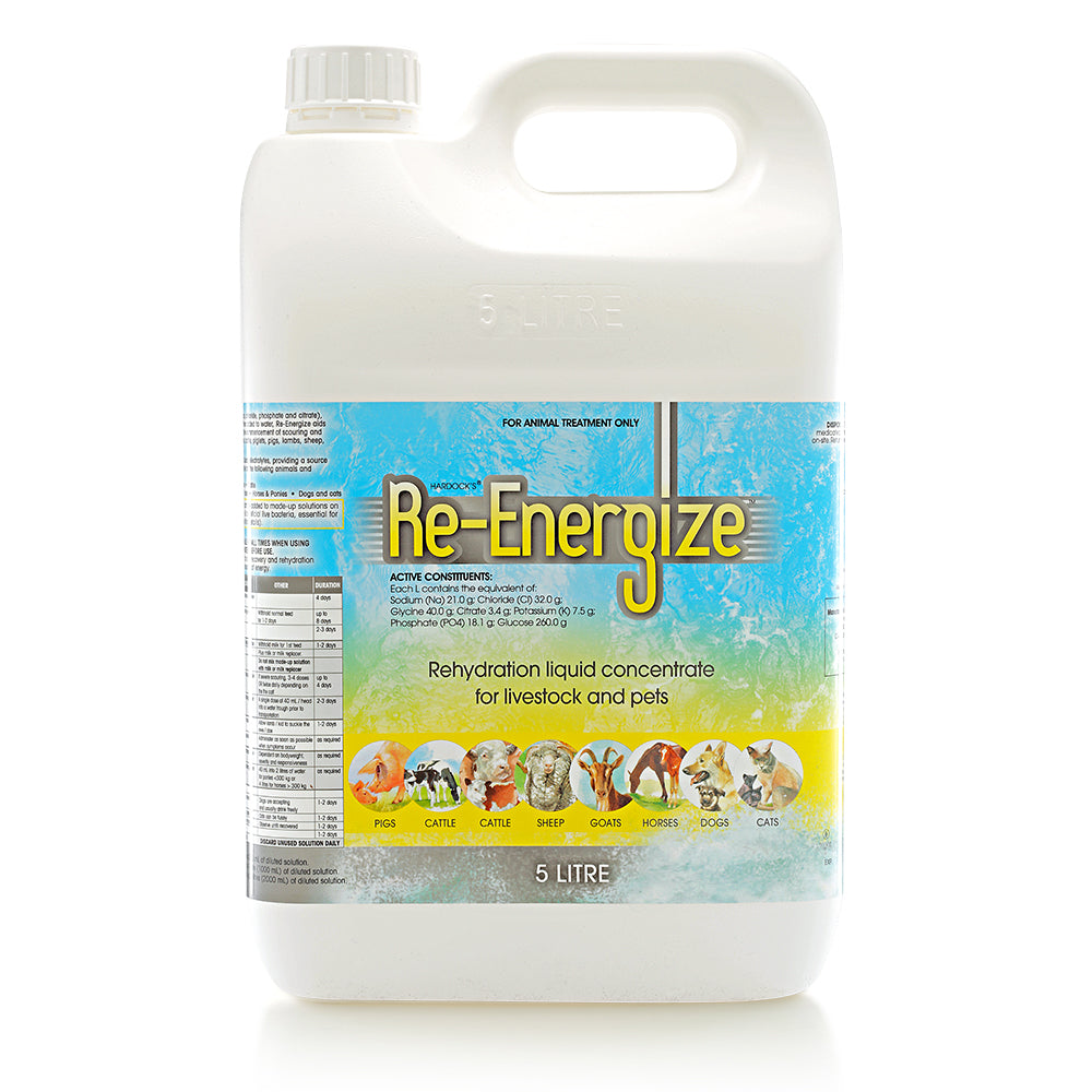 Hardock's Re-Energize Rehydration Liquid