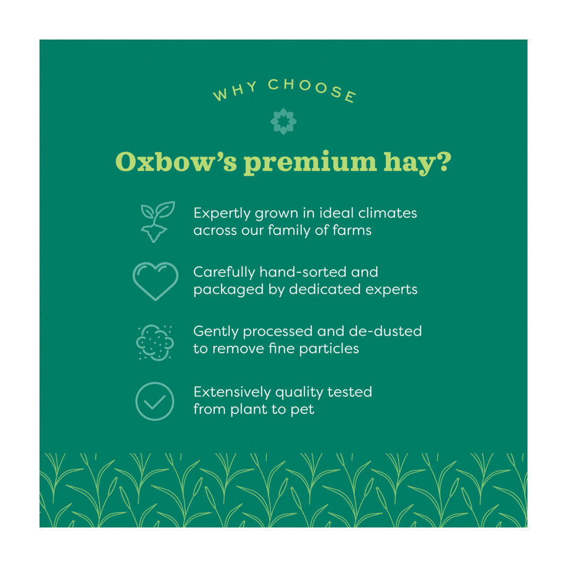 Oxbow Hay Blends - Western Timothy & Orchard Grass