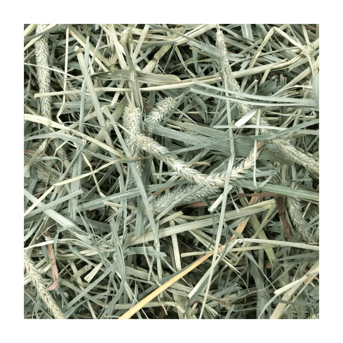 Oxbow Hay Blends - Western Timothy & Orchard Grass