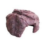 Reptile Hiding Rock
