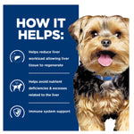 Hill's Prescription Diet l/d Liver Care Canned Wet Dog Food 370g x 12