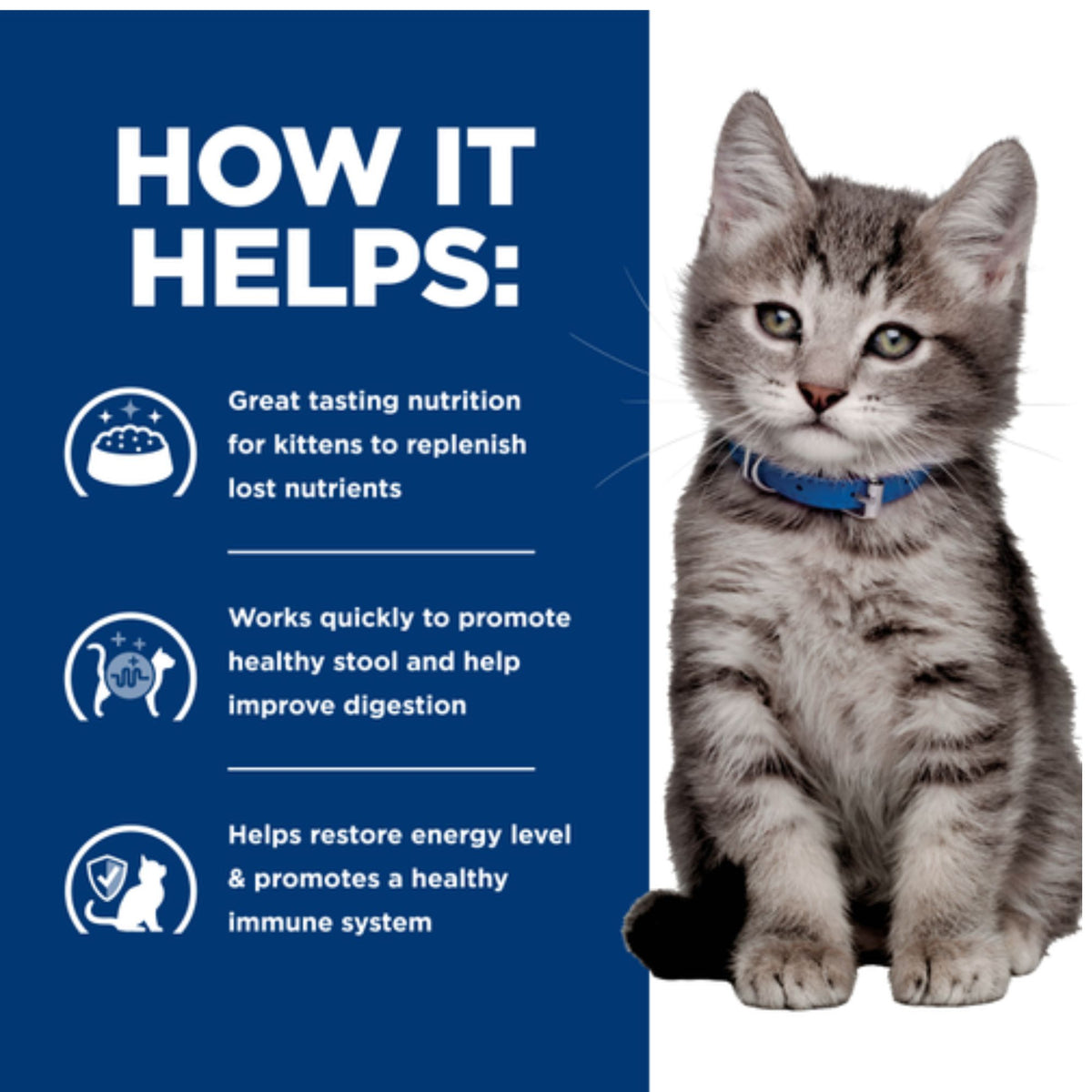 Hill’s Prescription Diet i/d Chicken Paté Wet Kitten Food 156g x 24