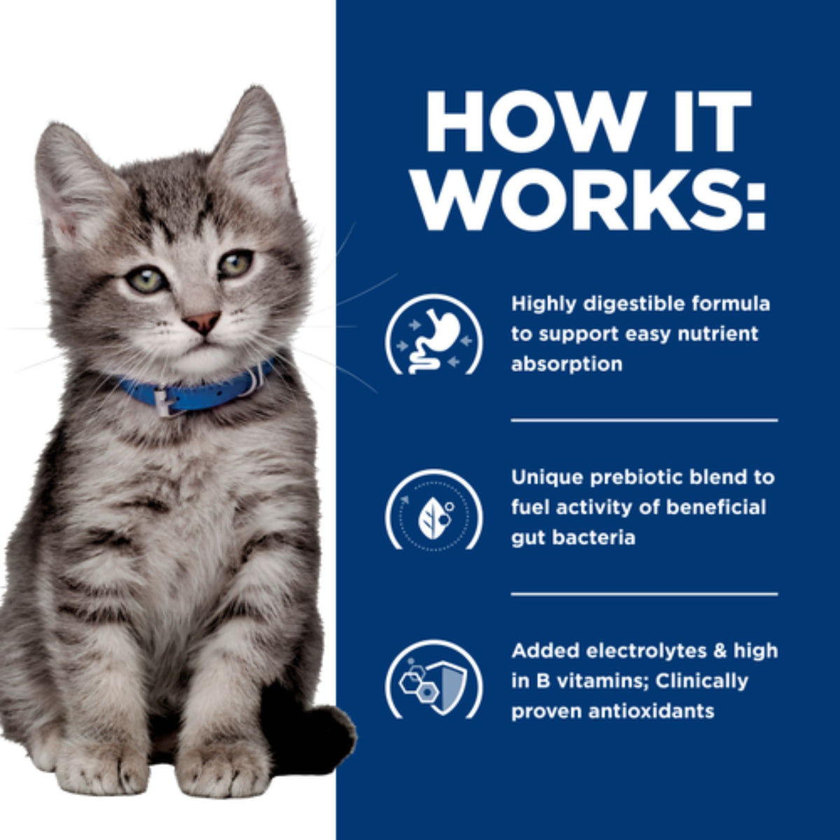 Hill’s Prescription Diet i/d Chicken Paté Wet Kitten Food 156g x 24