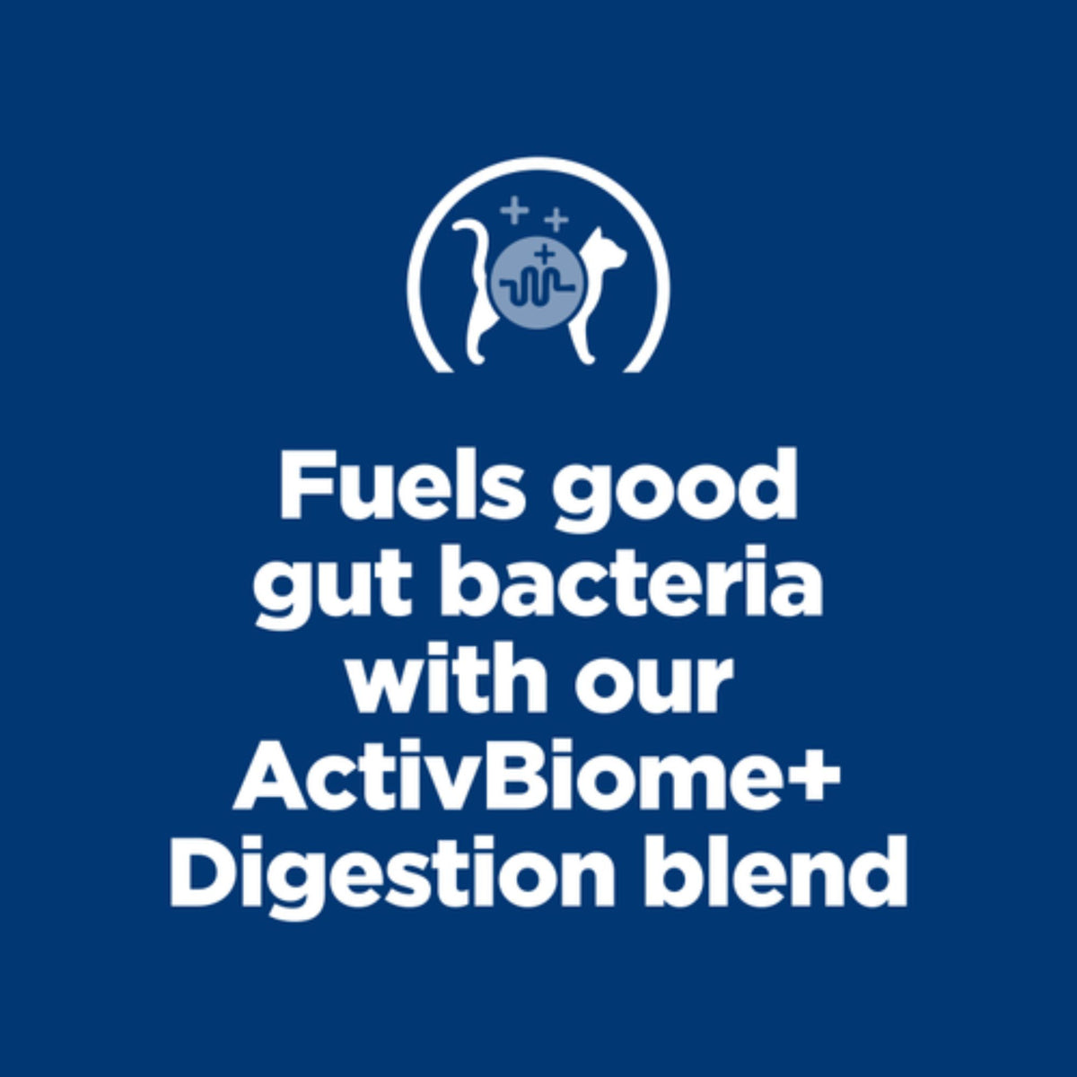 Hill’s Prescription Diet i/d Chicken Paté Wet Kitten Food 156g x 24