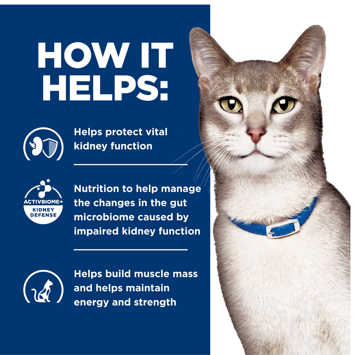 Hill's Prescription Diet Feline k/d Kidney Care Chicken Wet Cat Food Pouches 12X85g