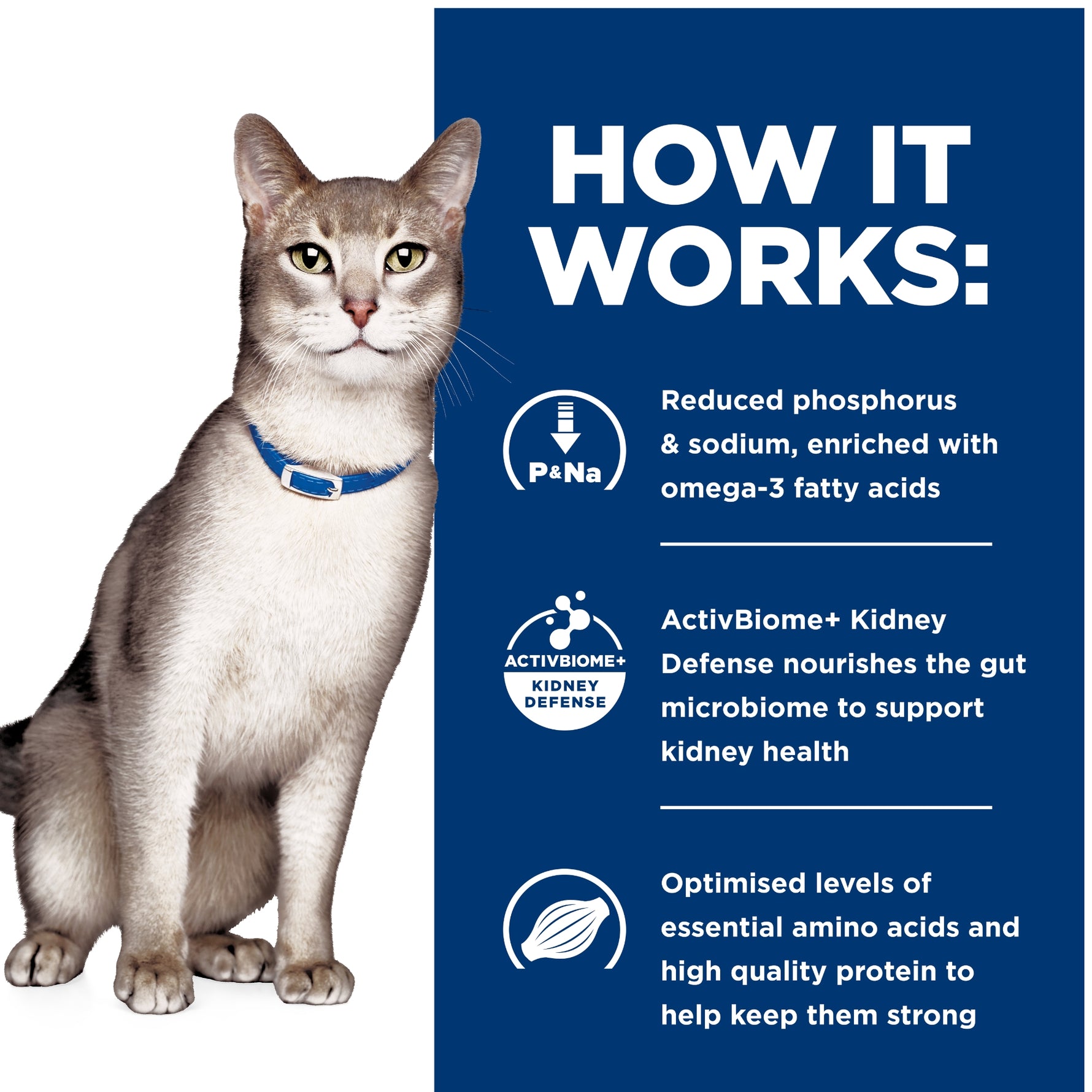 Hill's Prescription Diet Feline k/d Kidney Care Chicken Wet Cat Food Pouches 12X85g