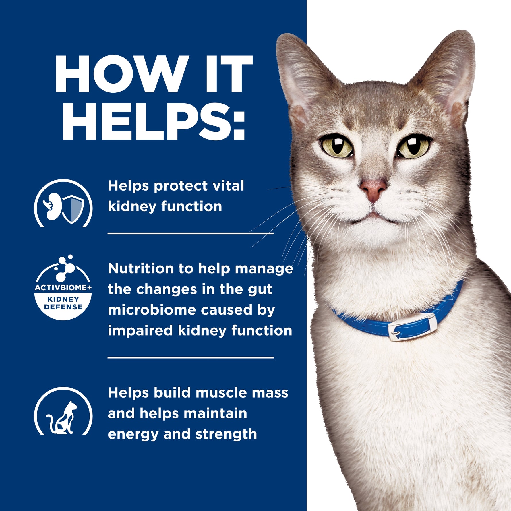 Hill's Prescription Diet Feline k/d Kidney Care