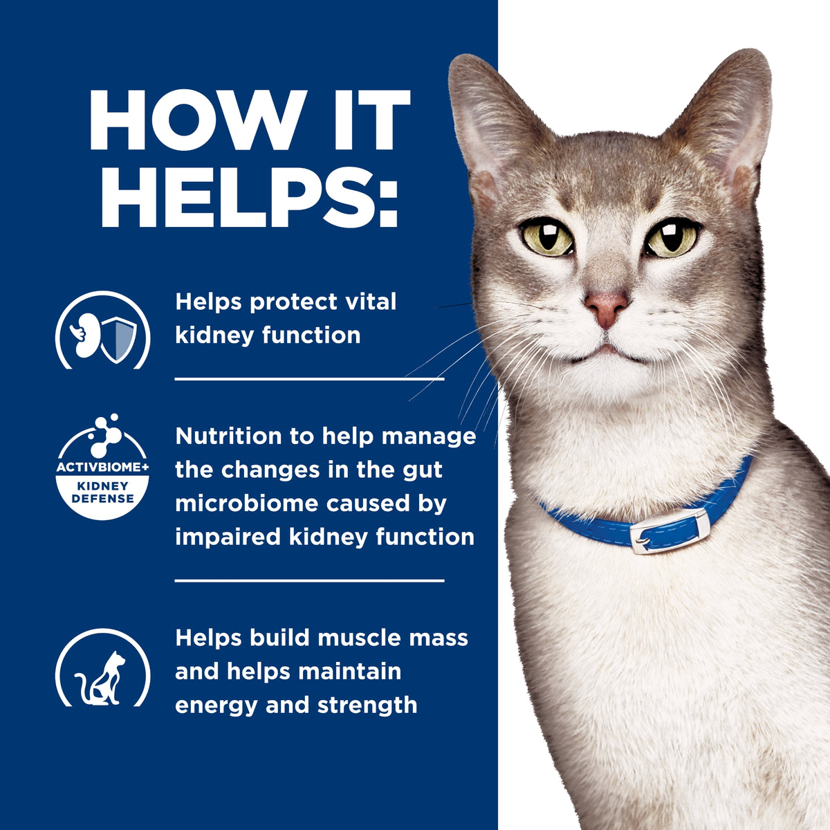 Hill's Prescription Diet Feline k/d Kidney Care