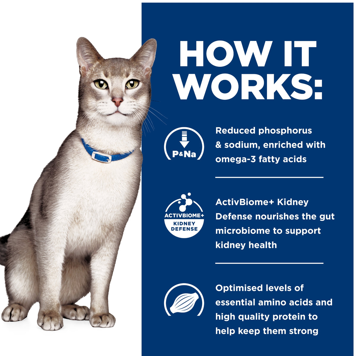 Hill's Prescription Diet Feline k/d Kidney Care